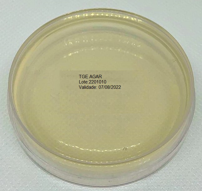 Tryptone Glucose Extract Agar (TGE Agar)